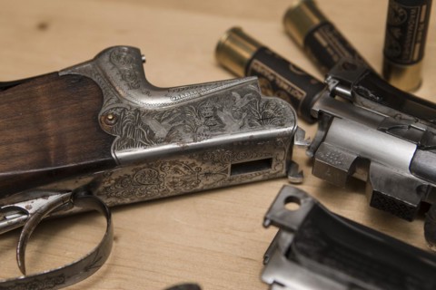 Decorated hunting weapons with ammunition, hunting license and gun ownership card and, Hesse, Germany, Europe