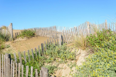 Protection of the sand dunes in the Camargue, Espiguette beach. Le Grau du Roi, Provence-Alpes-Cote dAzur, France, Europe