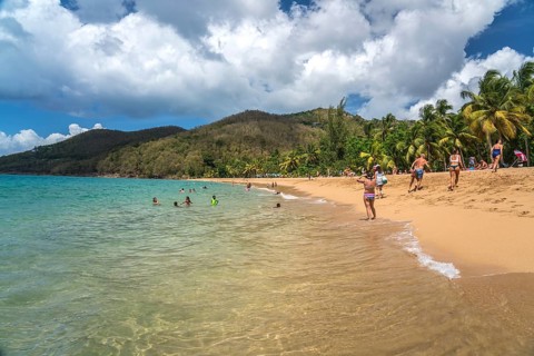 At the beach Plage de Grande Anse near Deshaies in the north of Basse-Terre, Guadeloupe, France, North America