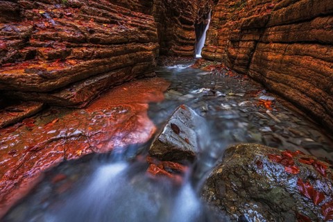 The Taugl in the Davidgraben, Red Canyon, Tennegau, Salzburger Land, Austria, Europe