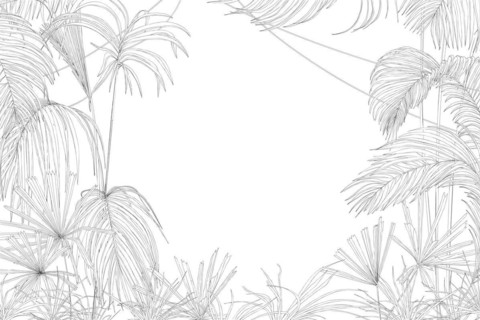 Line art vector sketch of a tropical forest