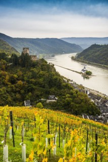 Gutenfels Castle and Pfalzgrafenstein Castle, Kaub, Upper Middle Rhine Valley, UNESCO World Heritage Site, Rhineland-Palatinate, Germany, Europe