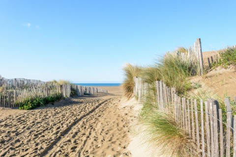 Protection of the sand dunes in the Camargue, Espiguette beach. Le Grau du Roi, Provence-Alpes-Cote dAzur, France, Europe