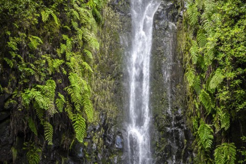 River and waterfall Cascata das 25 Fontes, long exposure, Rabacal, Paul da Serra, Madeira, Portugal, Europe