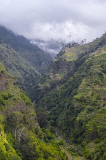 Levada do Moinho, gorge near Ponta do Sol, Madeira, Portugal, Europe