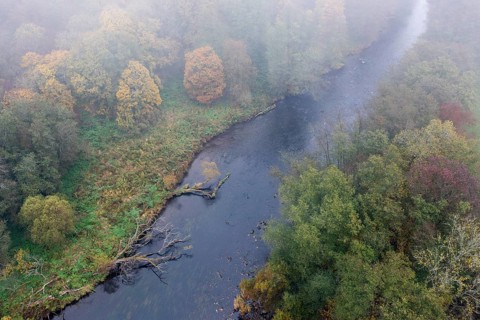 Foggy atmosphere, River Thaya in autumn, National Park Thayatal, Hardegg, Lower Austria, Austria, Europe