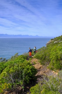 Hikers on Robberg Island, Robberg Peninsula, Robberg Nature Reserve, Plettenberg Bay, Garden Route, Western Cape, South Africa, Africa