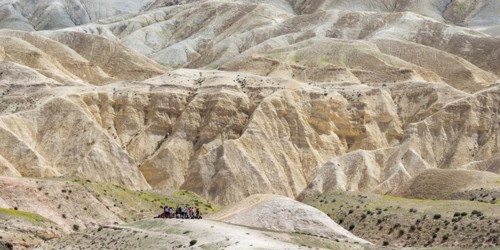 Hiking group in the Zin desert near Sde Boker, Negev, Israel, Asia