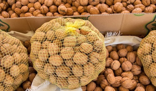 Sack of whole fresh walnuts with hard nutshells