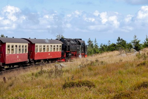 Steam train, Brockenbahn, narrow-gauge railway, Brocken, Harz, Saxony-Anhalt, Germany, Europe