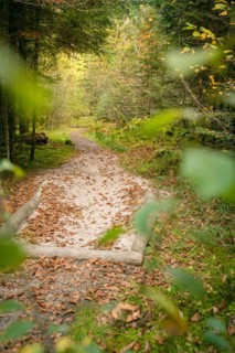 Sand in the barefoot park in the forest, Schoemberg, Black Forest, Germany, Europe