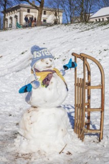 Snowman with sledge, cap and scarf, Bremen, Germany, Europe