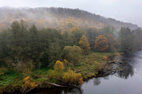 Foggy atmosphere, River Thaya in autumn, National Park Thayatal, Hardegg, Lower Austria, Austria, Europe