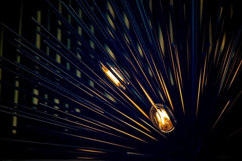Decorative style filament light bulbs in view