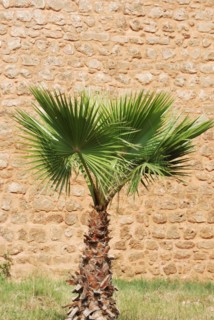 Wall surrounding the Medina at Rabat