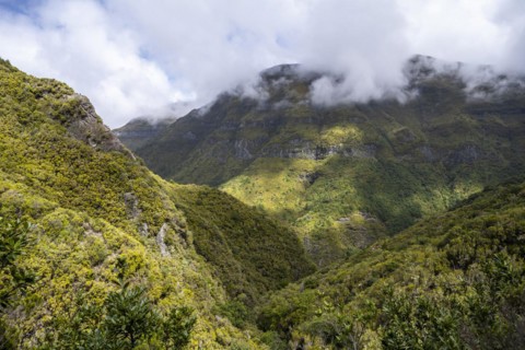 Green forest and hills of Rabacal, Paul da Serra, Madeira, Portugal, Europe