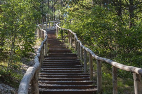 Dune steps on the touring path in the Schoorlser Duenen nature reserve, Schoorl, North Holland, Netherlands
