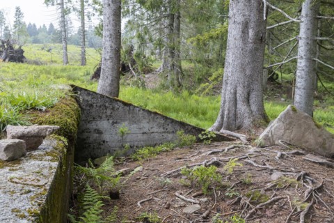 Remains of the ruins of Adolf Hitlers Tannenberg Fuehrer headquarters on Kniebis, the site was blown up after the war, Black Forest, Baiersbronn, Baden-Wuerttemberg, Germany, Europe