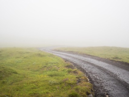 Rough track in the fog, moss-covered volcanic landscape, Laki Crater or Lakagigar, Highlands, South Iceland, Suourland, Iceland, Europe