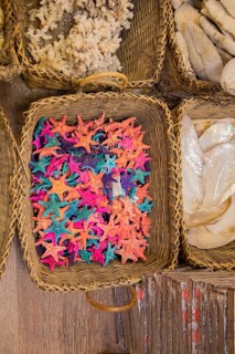 Beautiful starfish for decorative purposes