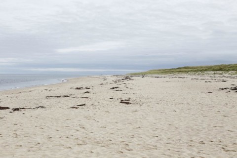 Coastal Landscape, Meadow Beach, Cape Cod, Atlantic Sea, Massachusetts, USA, North America