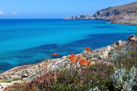 Coastal landscape at Cala Mesquida, Majorca, Balearic Islands, Spain, Europe