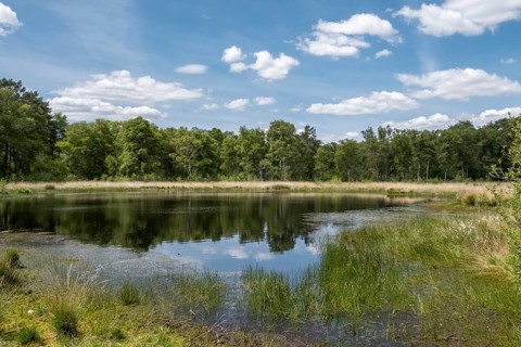 Heideweiher nature reserve and FFH area Fuerstenkuhle, Gescher, Muensterland, North Rhine-Westphalia, Germany, Europe
