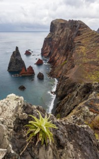 Coastal landscape, cliffs and sea, Miradouro da Ponta do Rosto, rugged coast with rock formations, Cape Ponta de Sao Lourenco, Madeira, Portugal, Europe