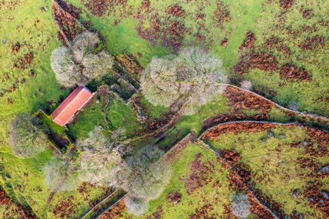 Top Down over Emsworthy Mire from a drone, Haytor Rocks, Dartmoor National Park, Devon, England, UK