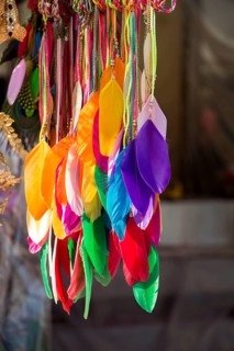 Beautiful bird feathers for decorative purposes