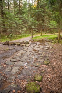 Barefoot Park in the Forest, Schoemberg, Black Forest, Germany, Europe