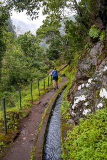 Hiker on Levada do Moinho, Ponta do Sol, Madeira, Portugal, Europe