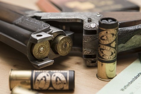 Decorated hunting weapons with ammunition, hunting license and gun ownership card and, Hesse, Germany, Europe