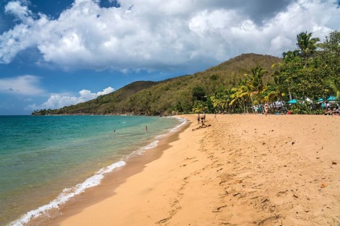 At the beach Plage de Grande Anse near Deshaies in the north of Basse-Terre, Guadeloupe, France, North America