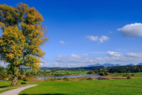 Froschhauser See near Froschhausen, Pfaffenwinkel, Upper Bavaria, Bavaria, Germany, Europe