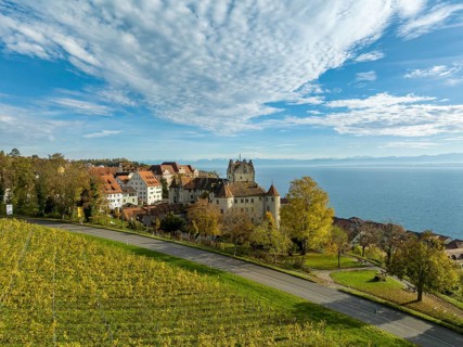 View over vineyard to the historic and inhabited Meersburg Castle, Lake Constance district, Baden-Wuerttemberg, Germany, Europe
