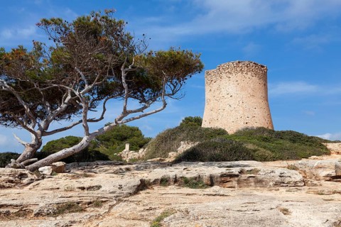 Torre de Cala Pi, medieval watchtower on the coast, Cala Pi, Majorca, Balearic Islands, Spain, Europe
