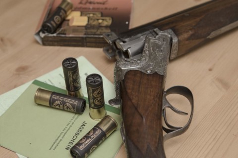Decorated hunting weapons with ammunition, hunting license and gun ownership card and, Hesse, Germany, Europe