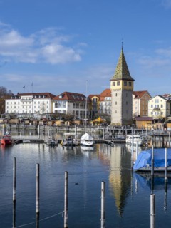 Sailboats in the harbour, harbour promenade with Mangturm, reflected in the lake, harbour, Lindau Island, Lake Constance, Bavaria, Germany, Europe