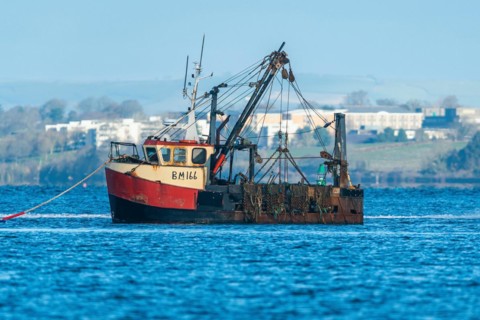 Crab Fishing Boat on River Exe, Dawlish Warren, Exmouth, Devon, England, United Kingdom, Europe