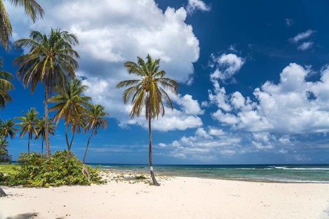 On the beach Plage de la Chapelle, Anse Bertrand, Grande-Terre, Guadeloupe, France, North America