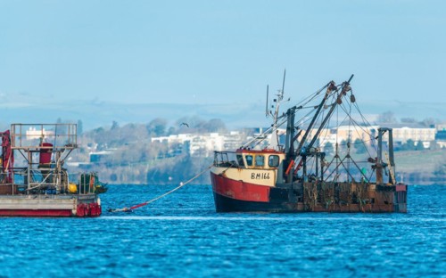 Crab Fishing Boat on River Exe, Dawlish Warren, Exmouth, Devon, England, United Kingdom, Europe