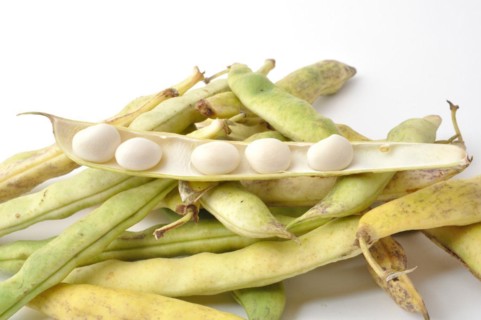 Paimpol coco beans