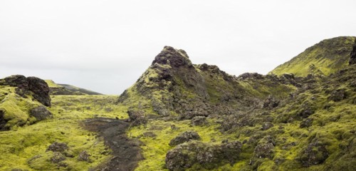 Moss-covered volcanic landscape, Laki Crater or Lakagigar, Highlands, South Iceland, Suourland, Iceland, Europe