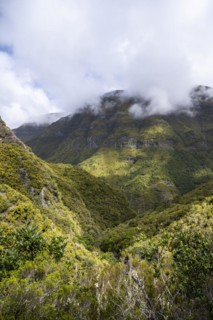 Green forest and hills of Rabacal, Paul da Serra, Madeira, Portugal, Europe