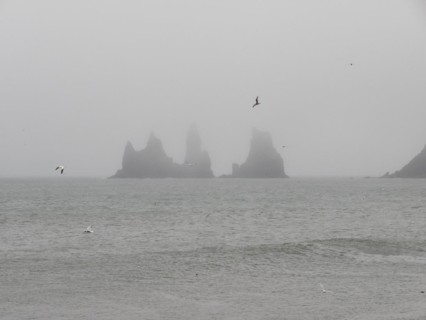 Rainy atmosphere, cliff in the fog, rock Reynisdrangar in the water, at Reynisfjara beach, Vik, South Iceland, Iceland, Europe