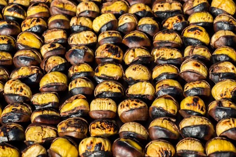 Raw fresh sweet chestnut for ready for sale