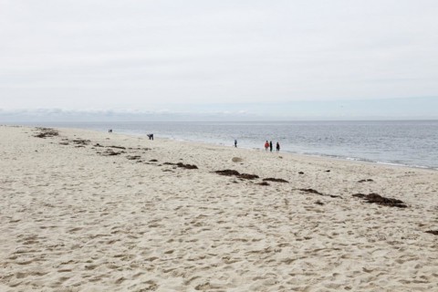 Coastal Landscape, Meadow Beach, Cape Cod, Atlantic Sea, Massachusetts, USA, North America