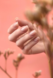 Gentle neat manicure on female hands on a background of dry flowers. Nail design