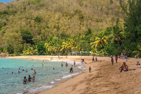 At the beach Plage de Grande Anse near Deshaies in the north of Basse-Terre, Guadeloupe, France, North America